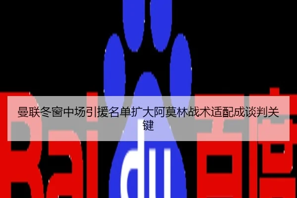 曼联冬窗中场引援名单扩大阿莫林战术适配成谈判关键