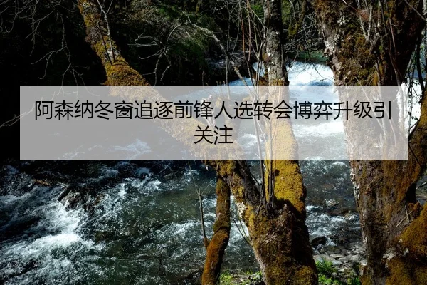 阿森纳冬窗追逐前锋人选转会博弈升级引关注